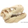 PLA 1kg Beige - Filament PM