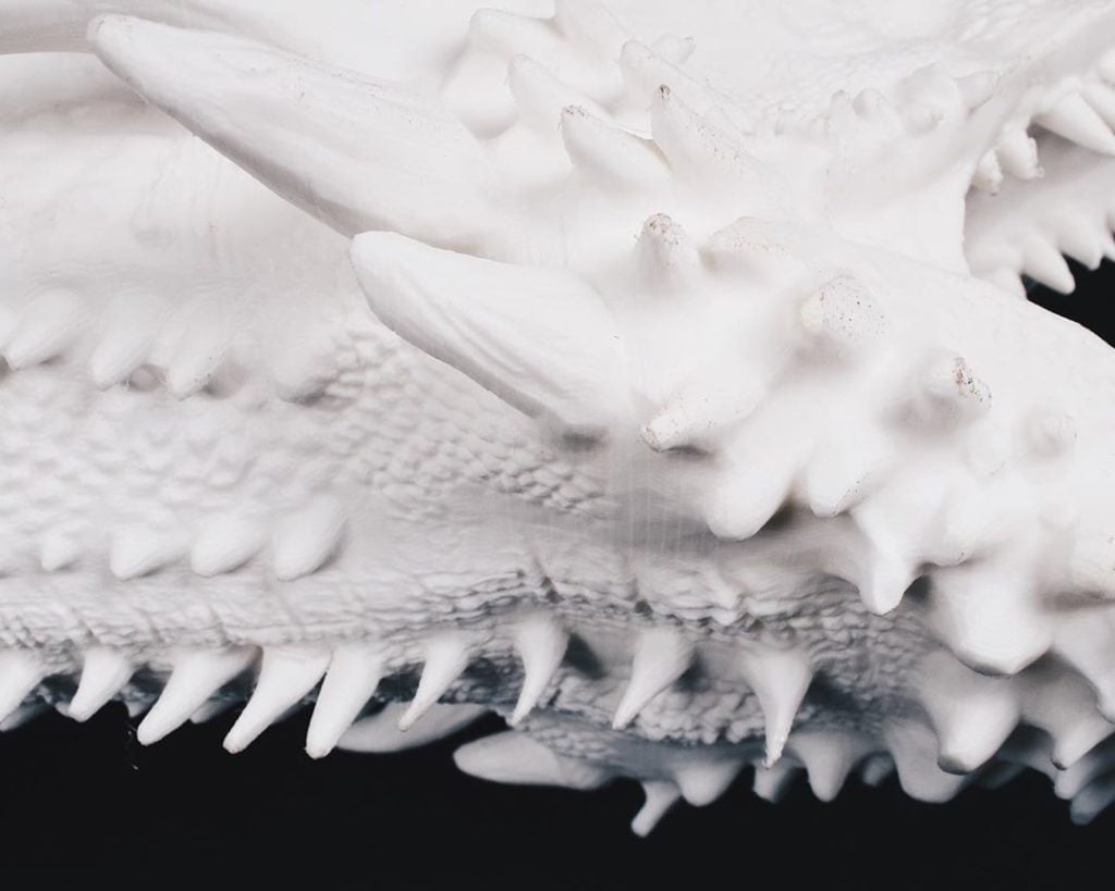 PLA 2kg White - Filament PM - Image 3