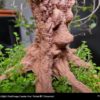 PLA Timberfill 750g  Cinnamon - Fillamentum - Image 9