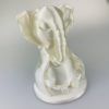 FIBERSILK METALLIC PLA 10M (AMOSTRA) Pearl - Fiberlogy