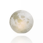 PLA HD 300g Blanco Fantasma Ghost White - WINKLE - Image 2