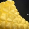 HTPLA Artobot "Electric Lemonade" Metallic Yellow ( Community Inspired )  500g - ProtoPasta - Image 5