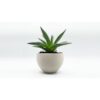Filaflex TPE 82A 500g Purifier - RECREUS - Image 2