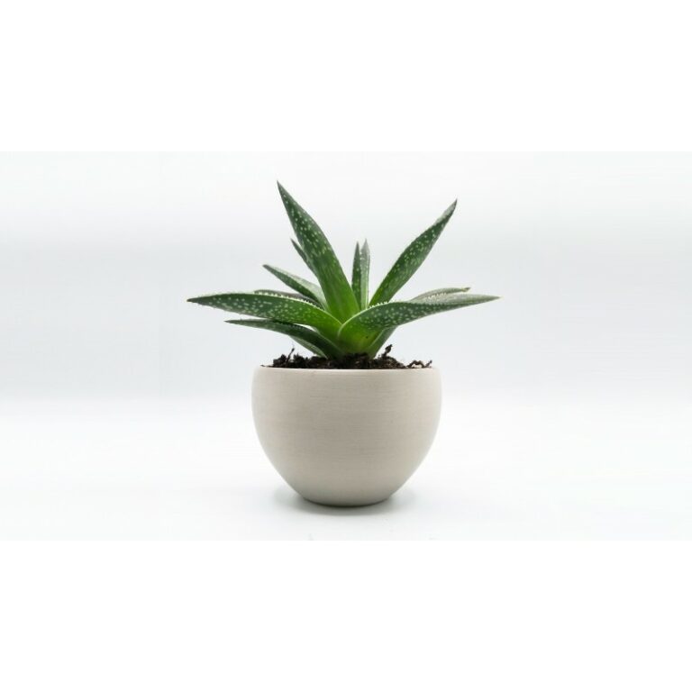 PLA 3kg Purifier - RECREUS - Image 2