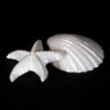 PLA 970g Prusament Prusament PLA Pearl White (Blend) - Prusa Original - Image 5