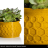 PLA_Extrafill_flowerpot_pepperedmustard_01-Portugal-Espana-Evolt-Impressao-3D