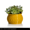 PLA_Extrafill_flowerpot_pepperedmustard_01_-Portugal-Espana-Evolt-Impressao-3D