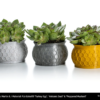 PLA_Extrafill_flowerpots_pepperedmustard_volcanicdust_turkeyegg_03_-Portugal-Espana-Evolt-Impressao-3D
