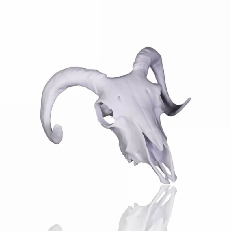 Prusament Resin Model Alabaster White 1 kg-4-Portugal-Espana-Evolt-Impressao-3D