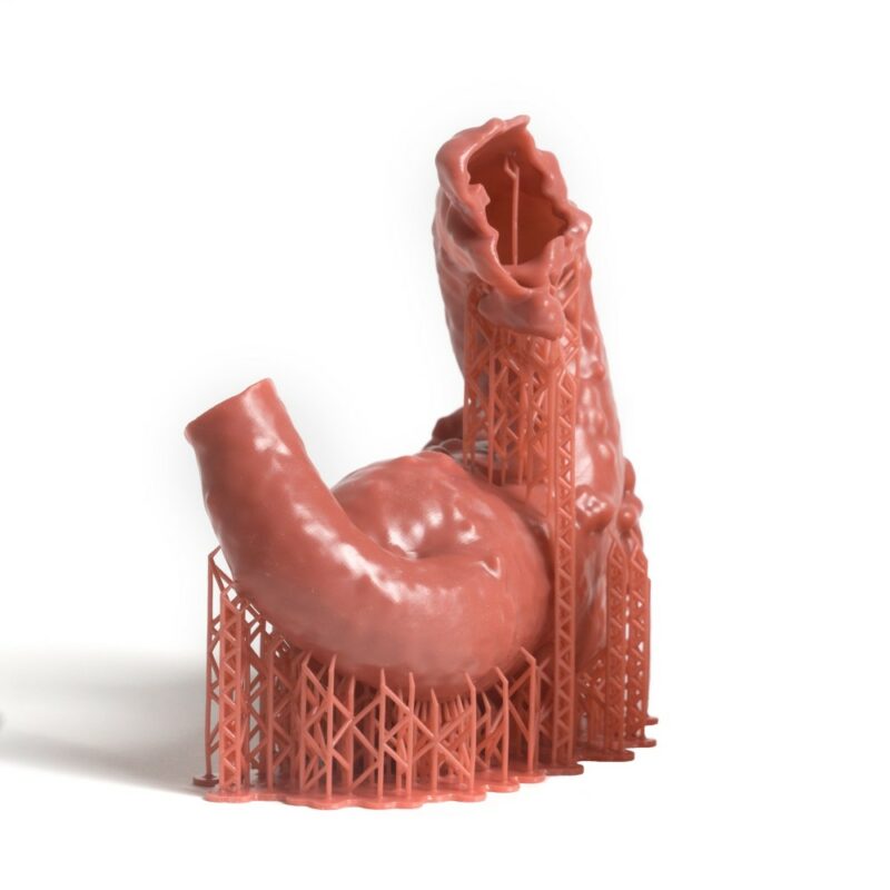 Prusament Resin 1kg Flex Anatomic Red - Prusa Original - Image 3