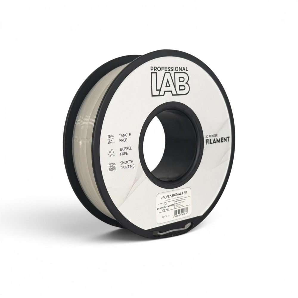 fg-p39-e1fg-p39-e1- (WEBSITE EVOLT)