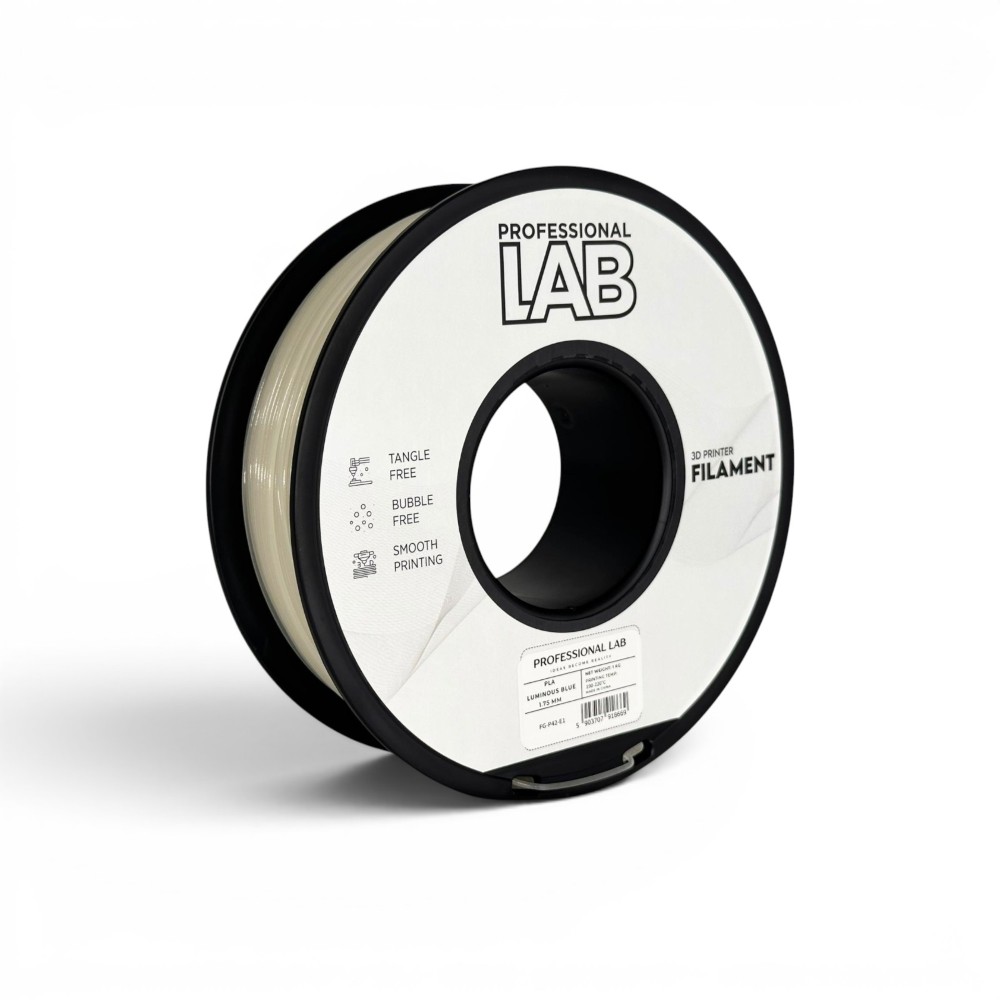 fg-p42-e1fg-p42-e1 (WEBSITE EVOLT)